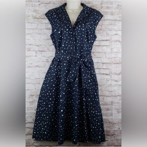 Classic Ann Taylor Sleeveless Shirt Dress in Navy Petite!